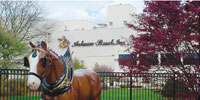 Anheuser-Busch brewery tour