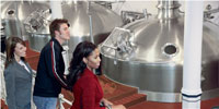 Anheuser-Busch brewery tour